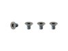 Trek Fastener Trek E-Cal 29 2021 Motor Armor M4x0.7x6mm