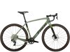 Trek Checkpoint SL 6 AXS 56 Lichen Green