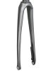 Trek Fork Rigid Trek Emonda SLR6 Disc 56-62 Anthracite/